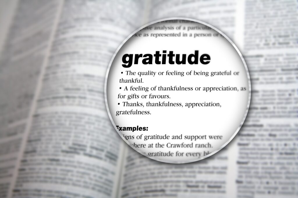 gratitude meaning in hindi